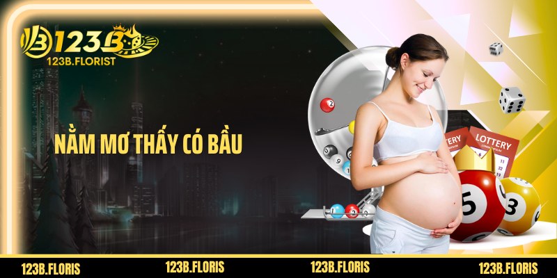 Nằm Mơ Thấy Có Bầu Là Điềm Gì, Giải Mã Ý Nghĩa Tiềm Ẩn?
